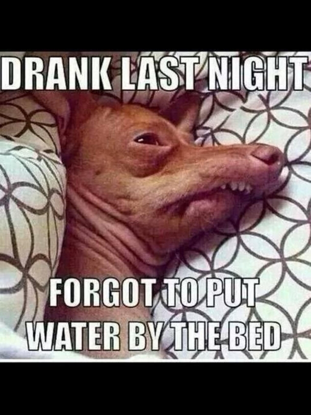 I know the feeling 