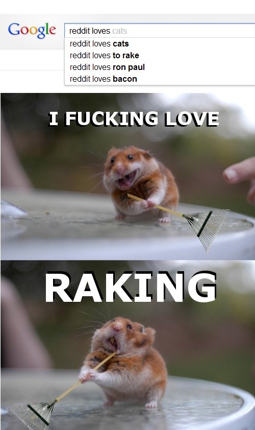 I know what reddit really likes its not cats