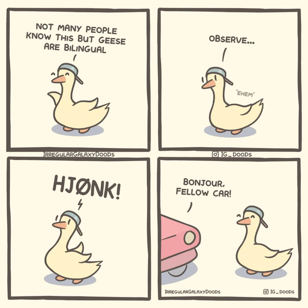 I know whats wrong with it it aint got no geese in it  