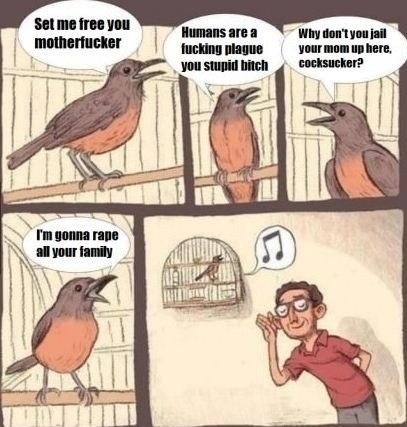 I know why the caged bird sings