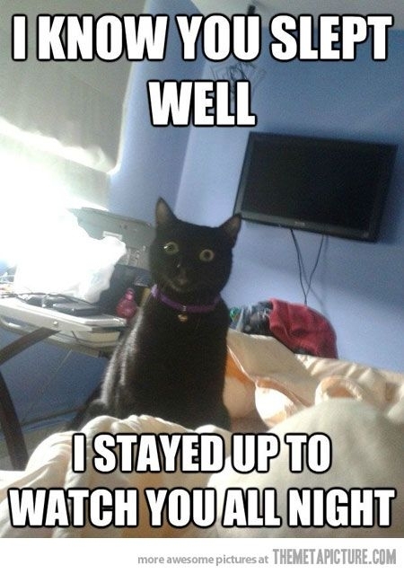I know you slept well