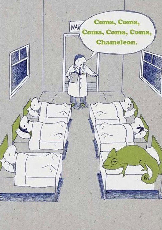 I laughed more than I should