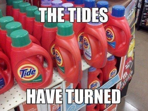 I laughed too hard at this