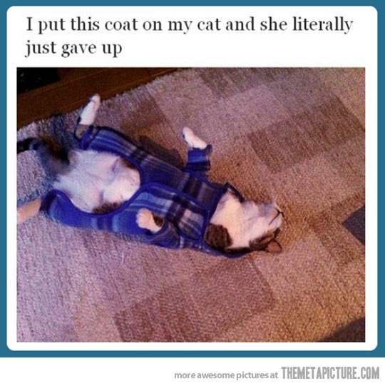 I laughed way too hard at this