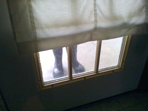 I left my boots at the back door When I was walking back outside I nearly had a heart attack x-post rpics