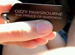 I let my boyfriend name the dog