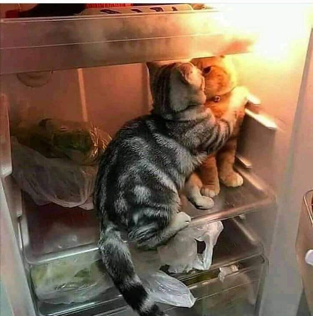 I lied to you theres no fish here
