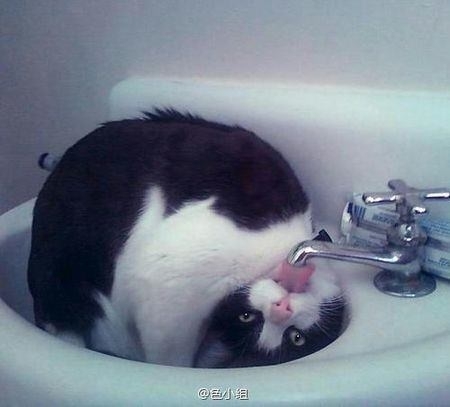 I live a upside down life