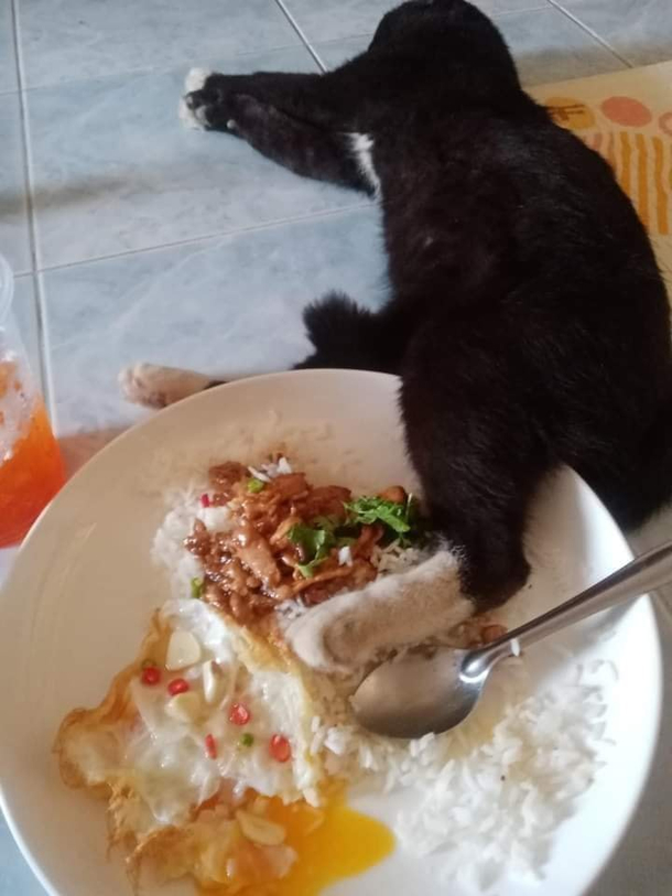 I lost my lunch like this