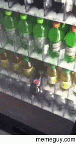 I lost the vending machine lottery