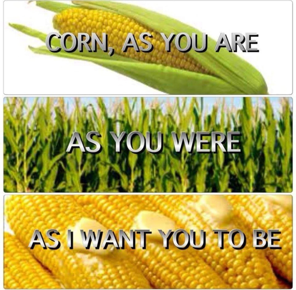 I love a corny joke but this is amaizing