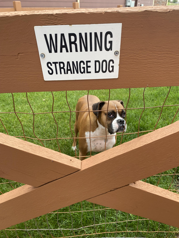 I love a dog owner with a sense of humor