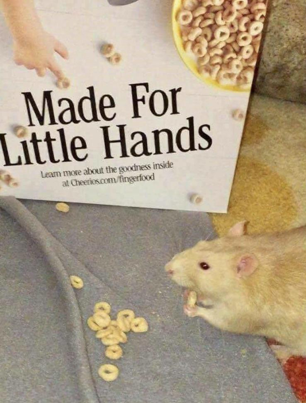I love accurate branding