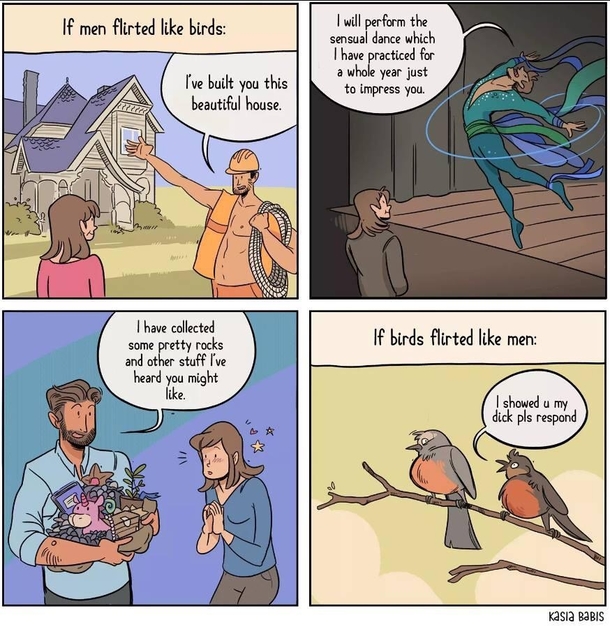 I love birds