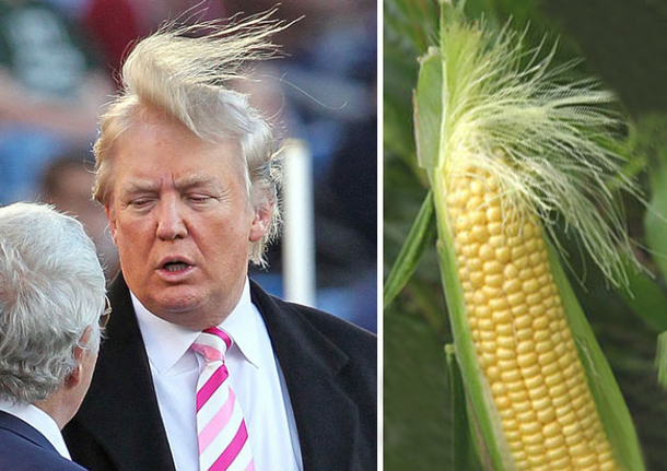 I love corn