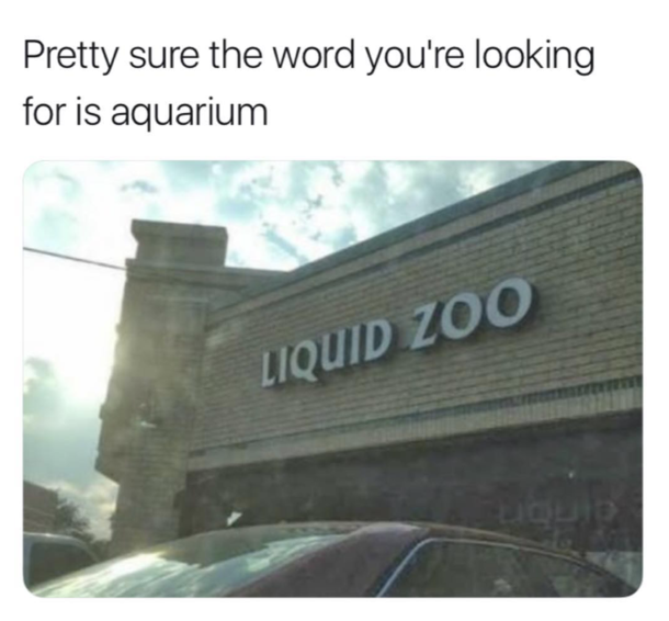 I love going to the liquid zoo