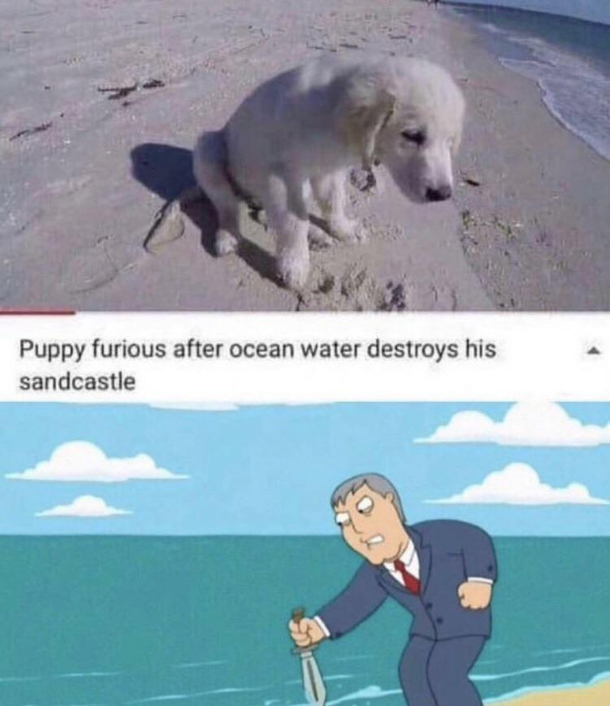 I love mayor west