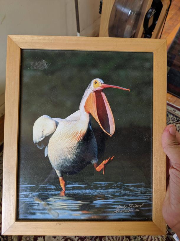 I love my new photo I found at a thrift store