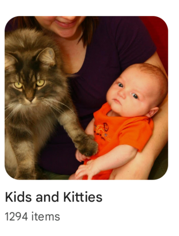 I love the thumbnail Google auto picked for my family photo album