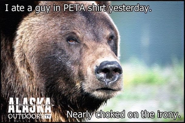 I love TV in Alaska