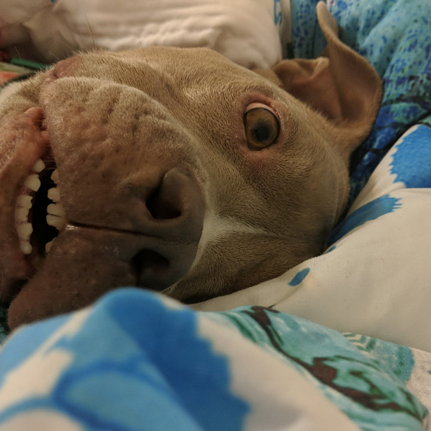 I love you and your derp face