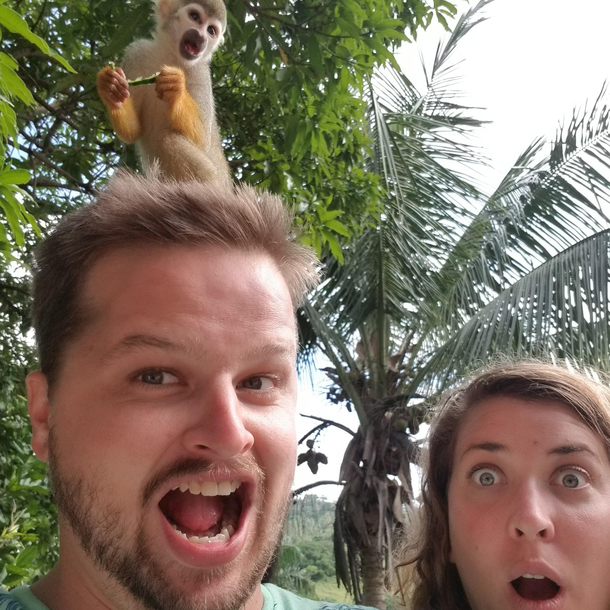 I made a face and the monkey responded My wife was shocked