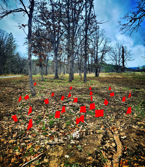 I made an art installation of my last relationship