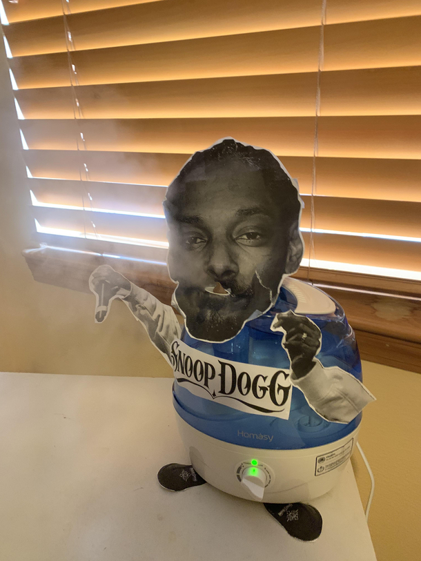 I made my diffuser into snoop dogg