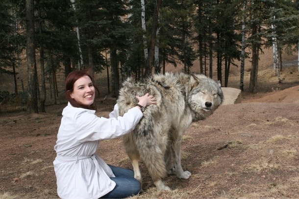 I maintain that any canine can be won over by a good butt scratch