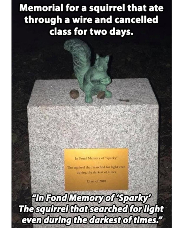 I miss sparky