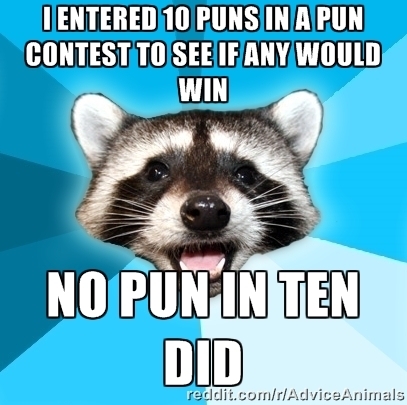 I miss the racoons on here