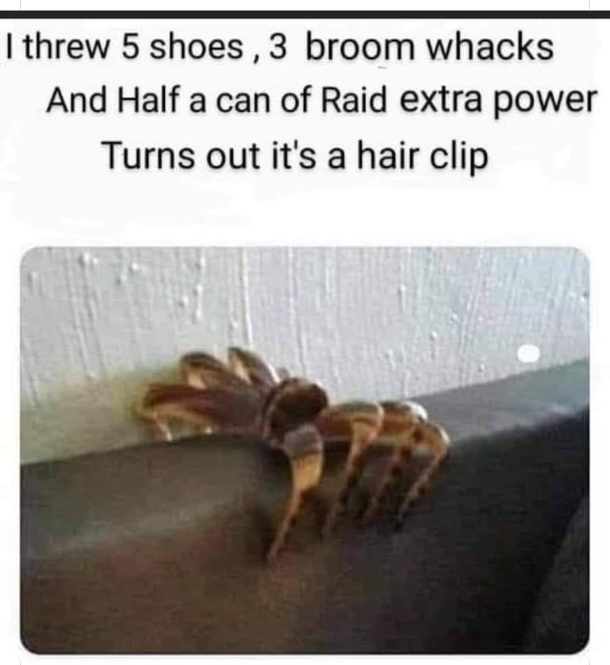 I must admit I wouldve done the same