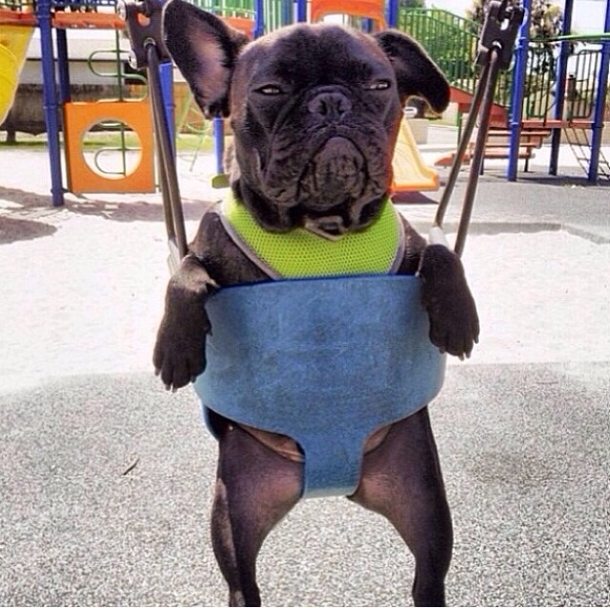 I need a push