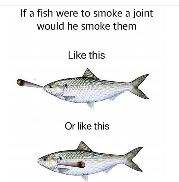 I need answers