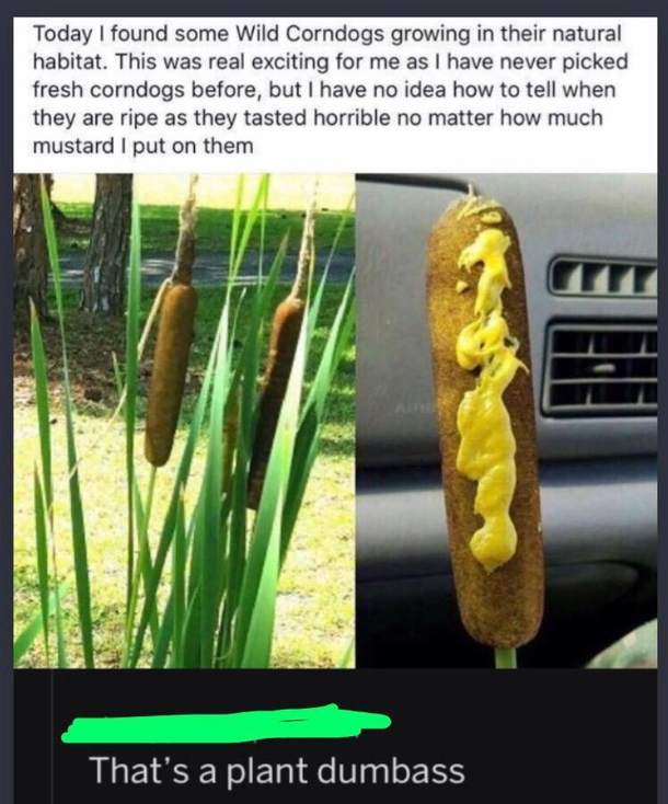 I need karma