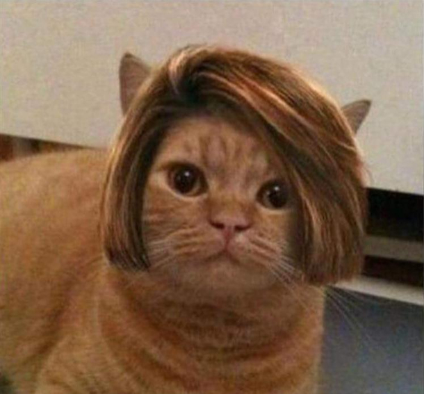 I need to speak to your manager