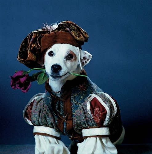 I need to talk about Wishbone