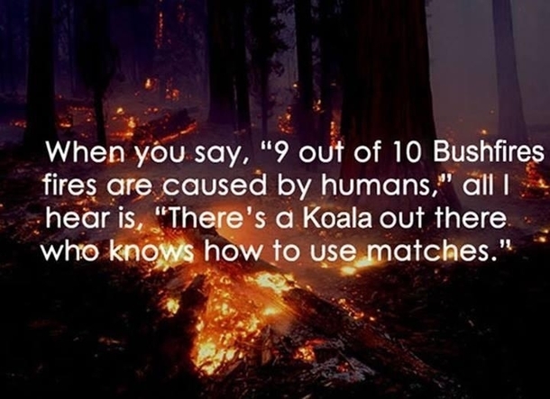 I never did trust them