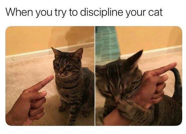 I never have to discipline my Lola because shes a good girl DD