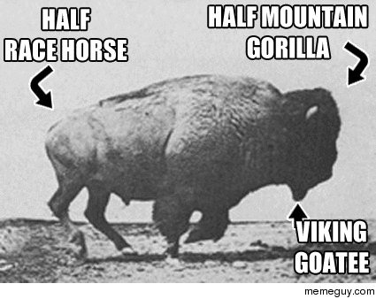 I never realized how terrifyingly badass the buffalo is