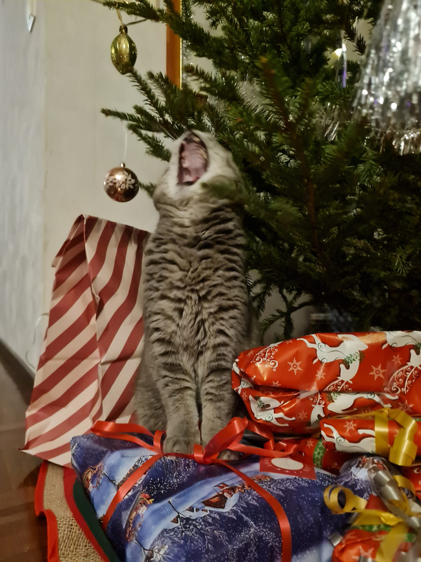 I never seem to get it right with his presents