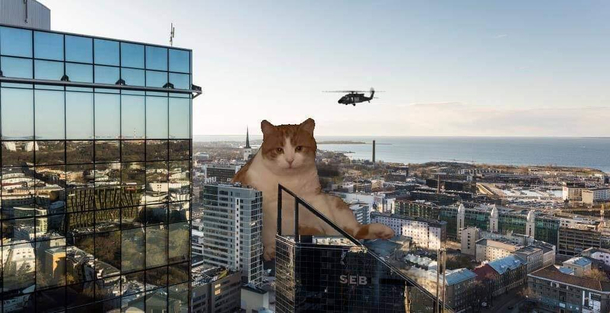I photoshoped my lazy cat - chunkzilla