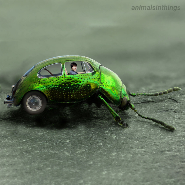 I photoshopped a beatle into a beetle into a beetle