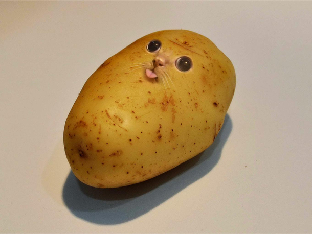 I photoshopped a potato