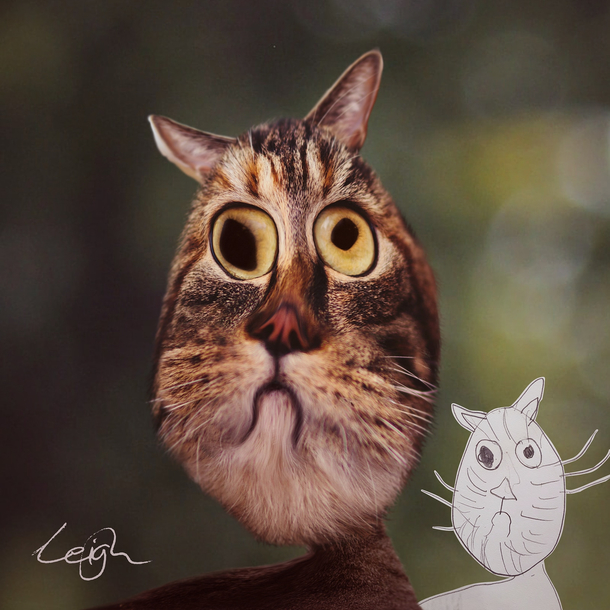 I photoshopped my daughters drawing of a cat