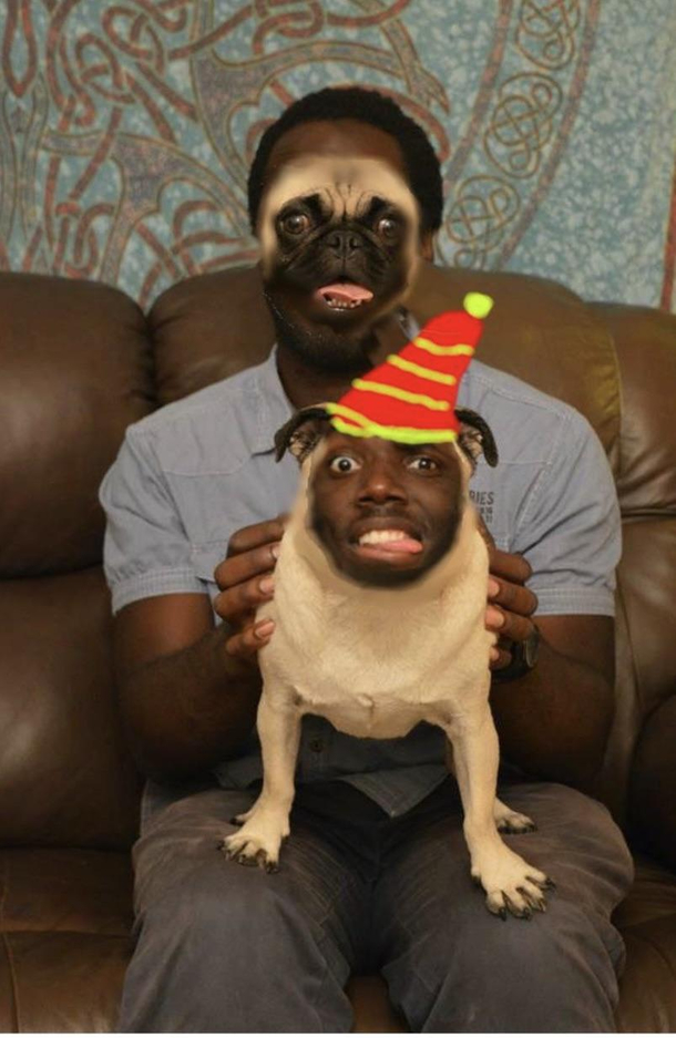 I photoshopped my friends face onto this awesome dog