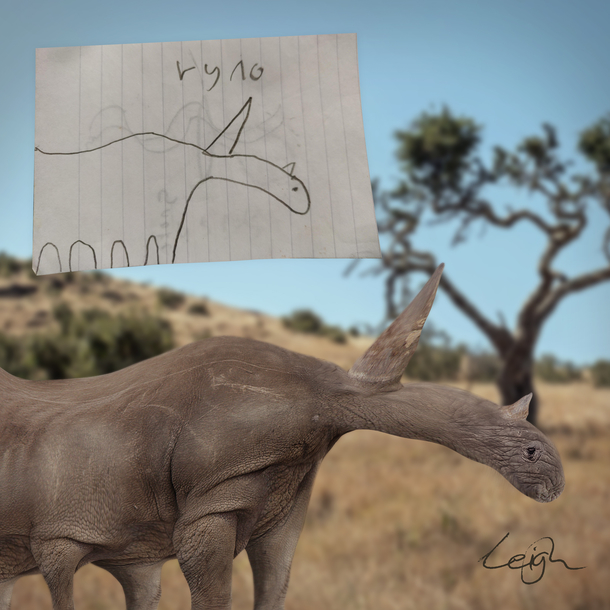 I photoshopped this drawing of a rhino