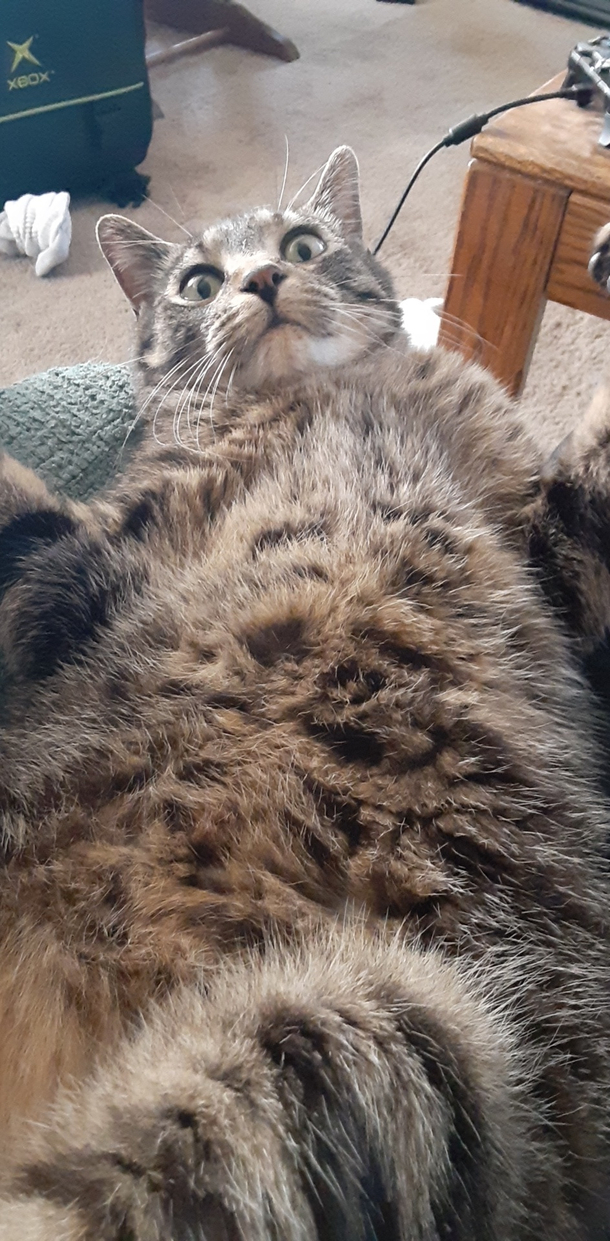 I poked his tummy while he was sleeping and he gave me a look