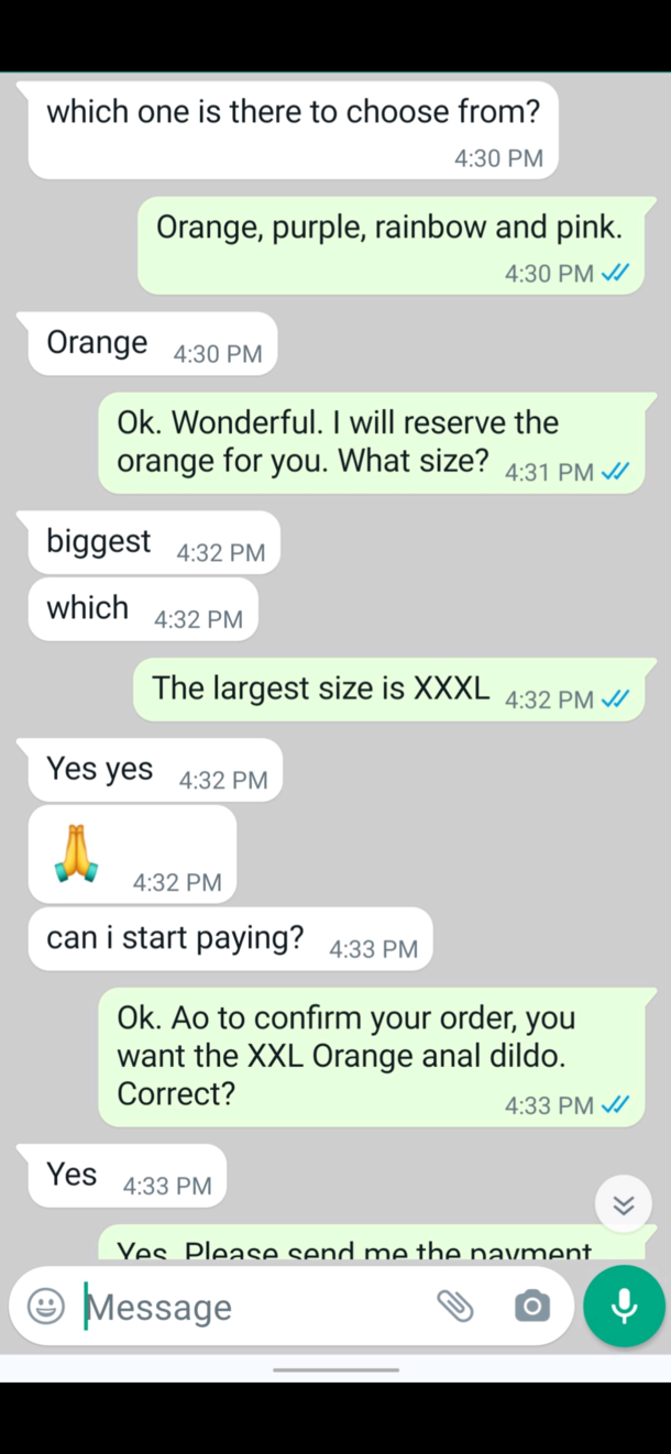 I posted my Jiu-Jitsu Training Dummy for sale and a scammer pretends to want to buy it so I will click a phishing link but they have no idea what item Im actually selling