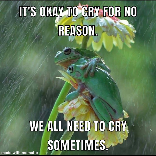 I present to you Emotional Support Frog